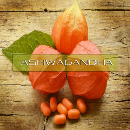 Benefits of Artichoke Leaf Interstellar Blends Activate Your Super