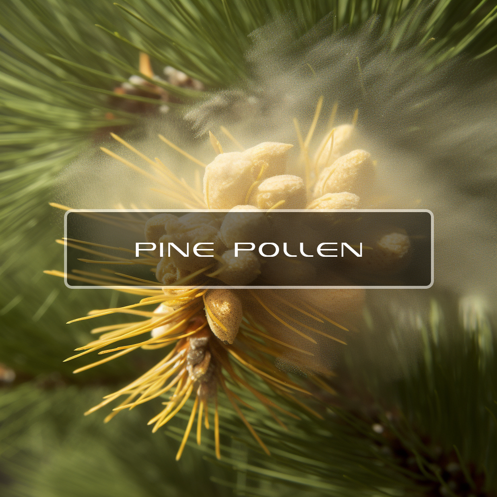 Benefits of Pine Pollen, Interstellar Blends