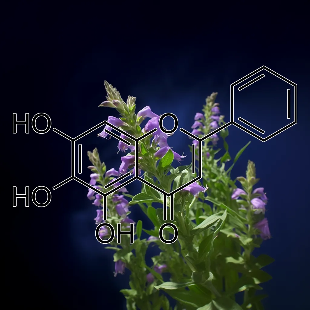 NRF2 ACTIVATOR (Antioxidant Defense) – New! | Interstellar Plan | Activate  Your Super Powers!